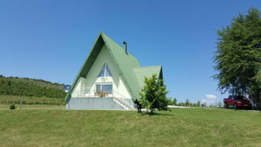 Vila Zeleno borje Žabljak